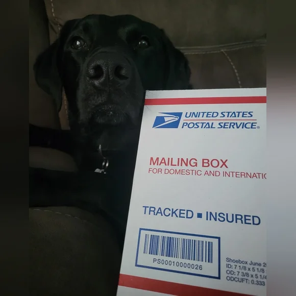 WELCOME ♡ - Picture 4 of 10